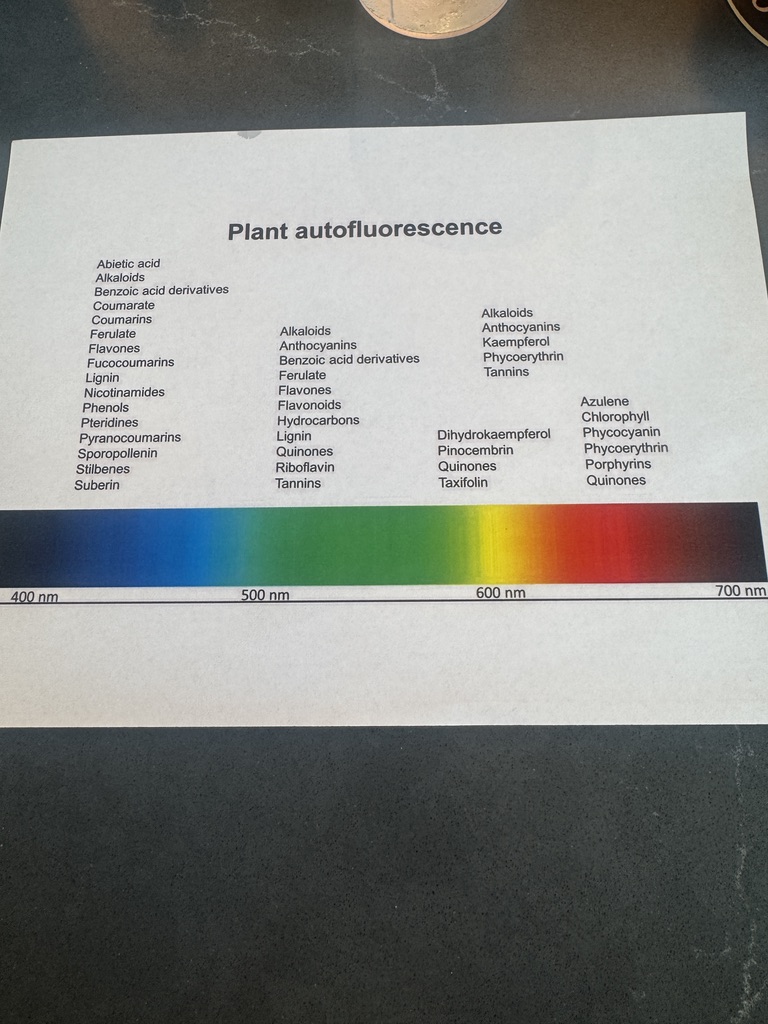 A graph of the autofluorescence of common plant compounds