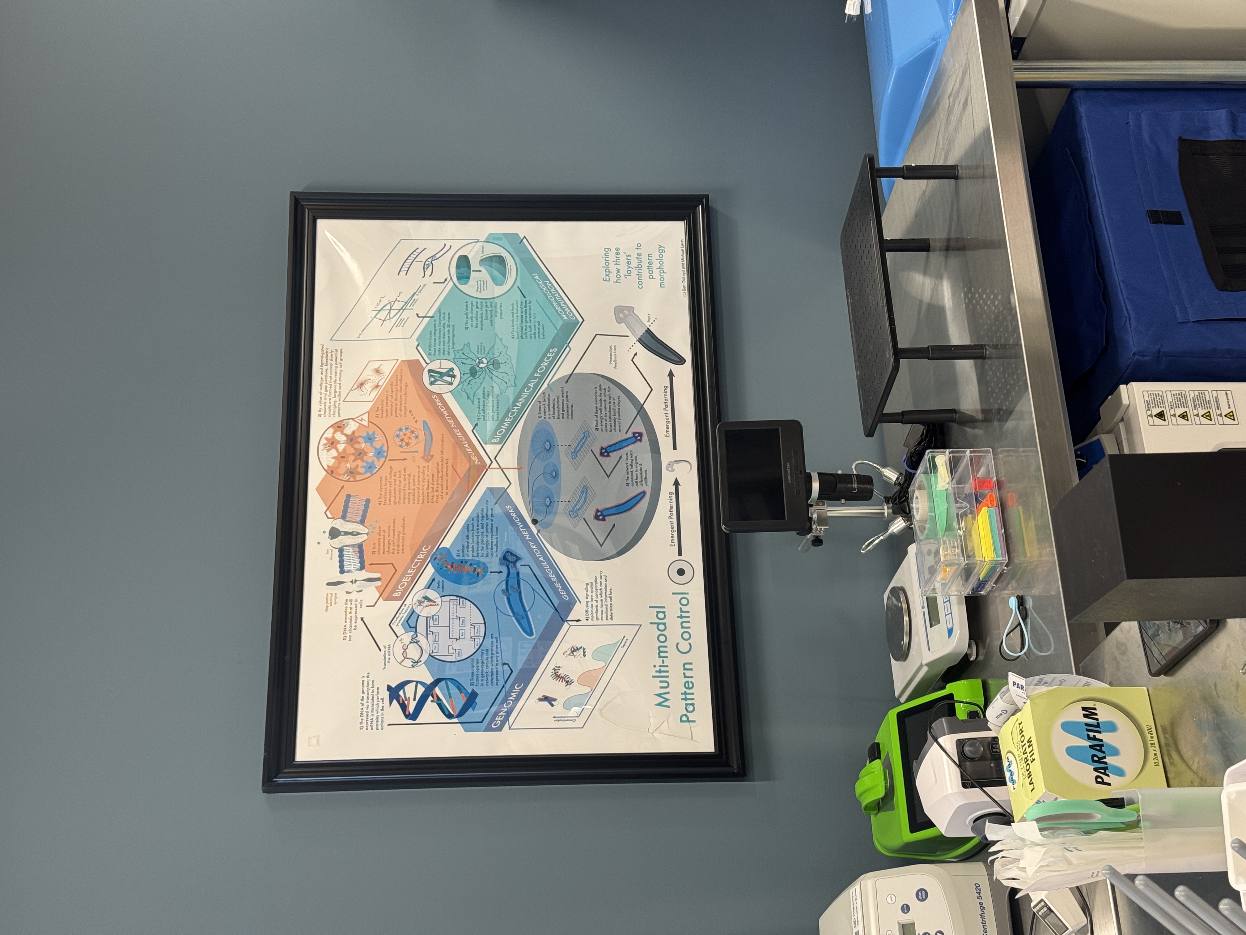Poster of Multi-modal Pattern Control
