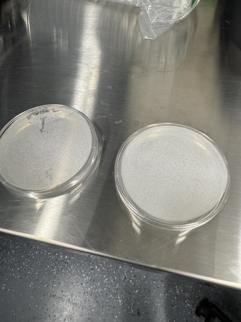 New plates for Arabidopsis imaging