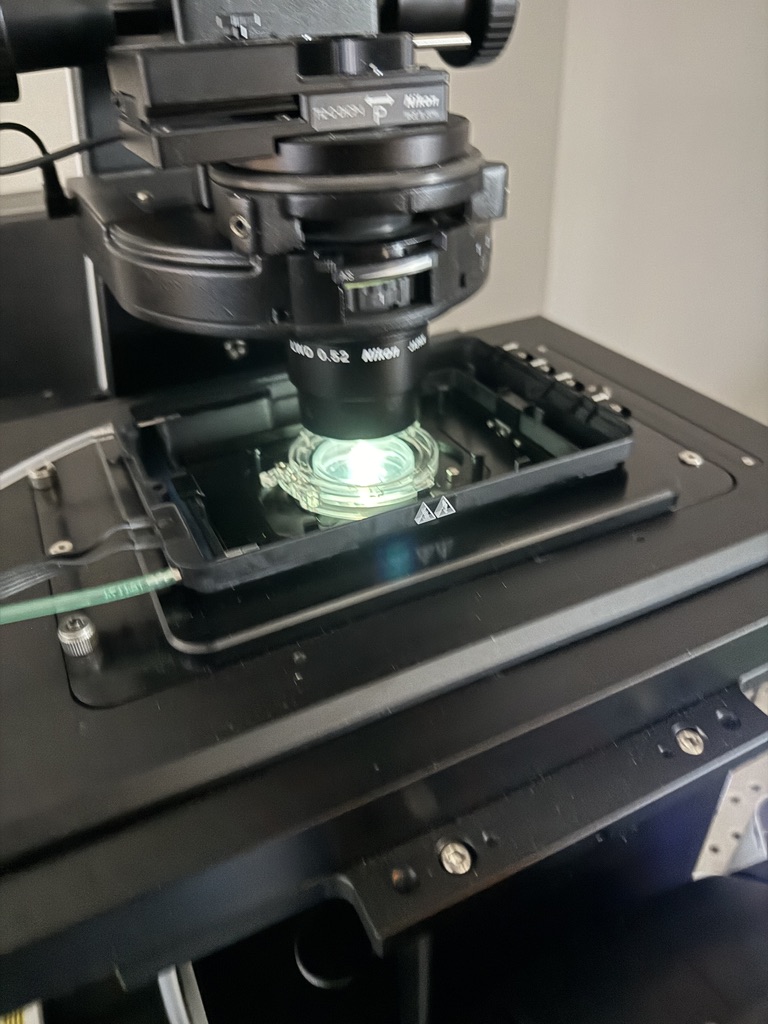 The petri dish loaded up onto the confocal