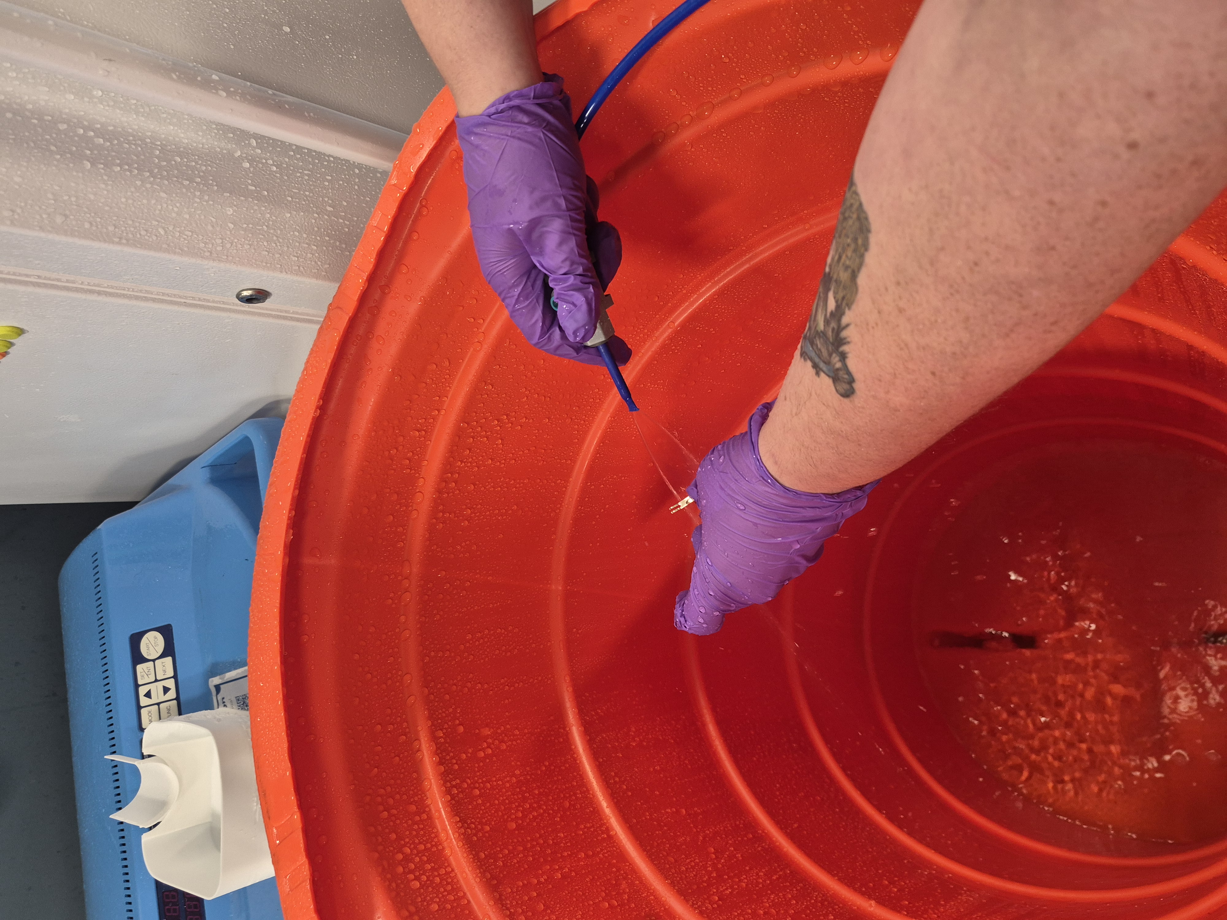 a small part being rinsed by a stream of water inside of an upside down traffic cone