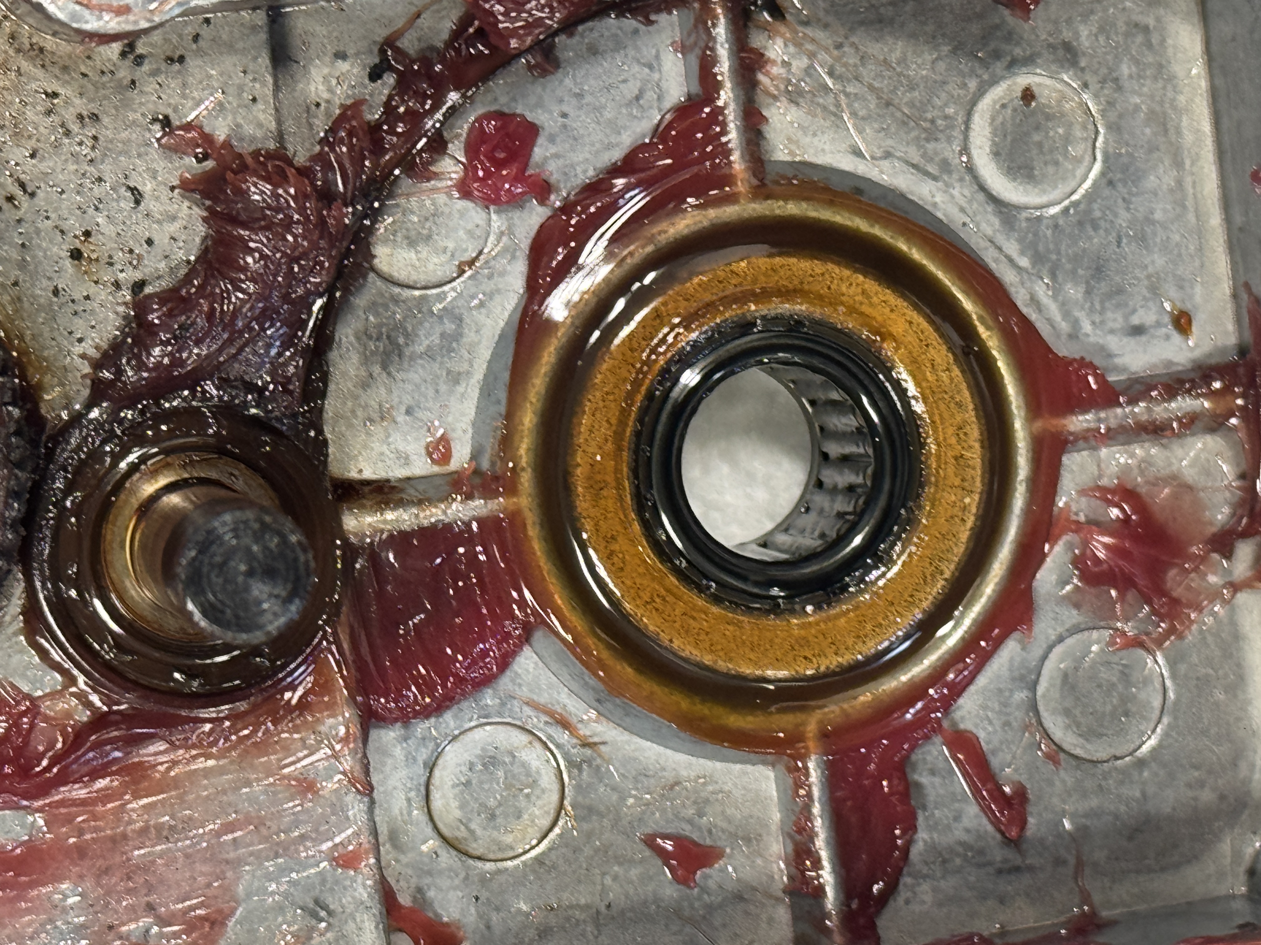 A disgusting coating of bad grease