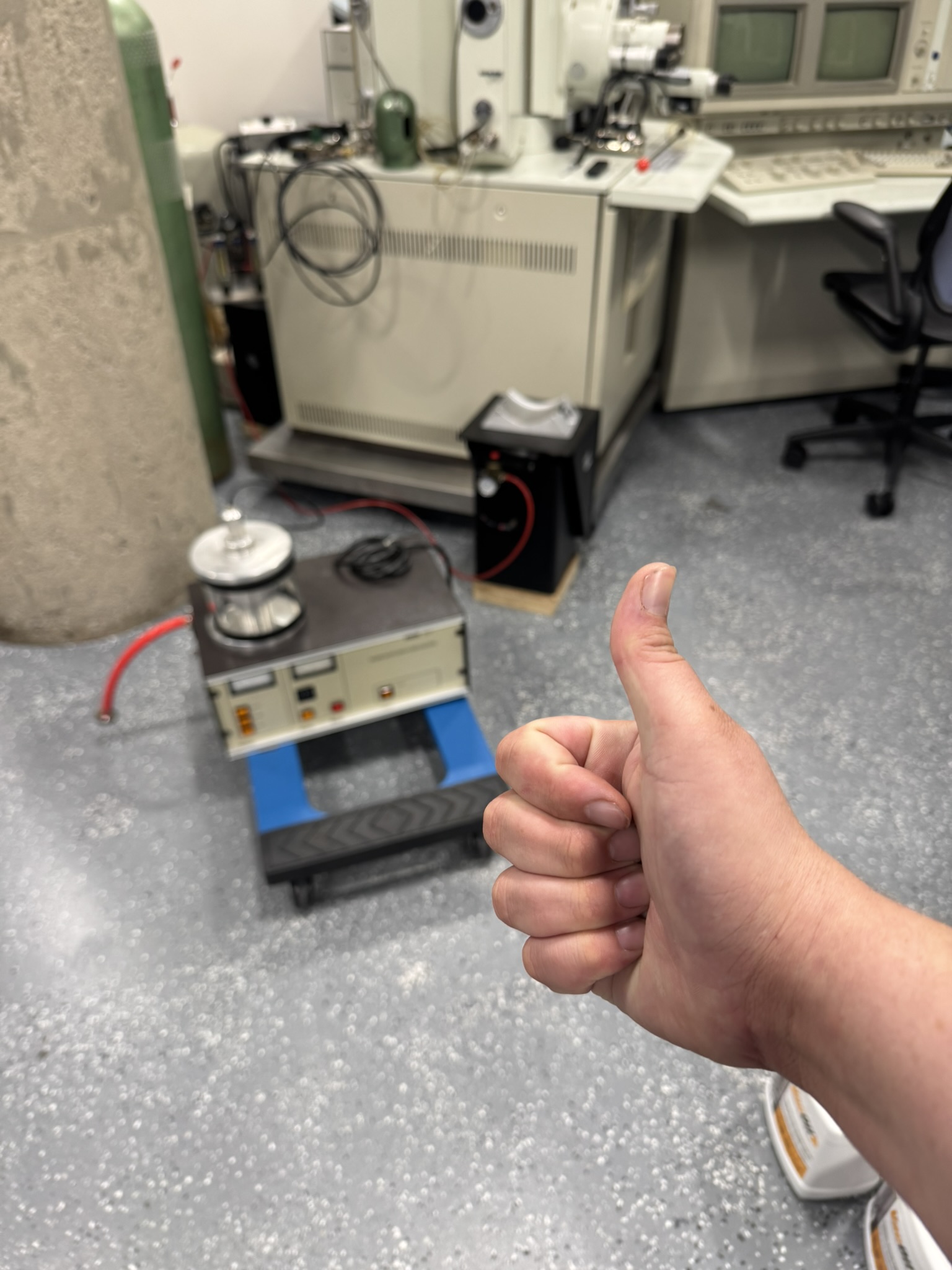 Beautiful Silphiums <3